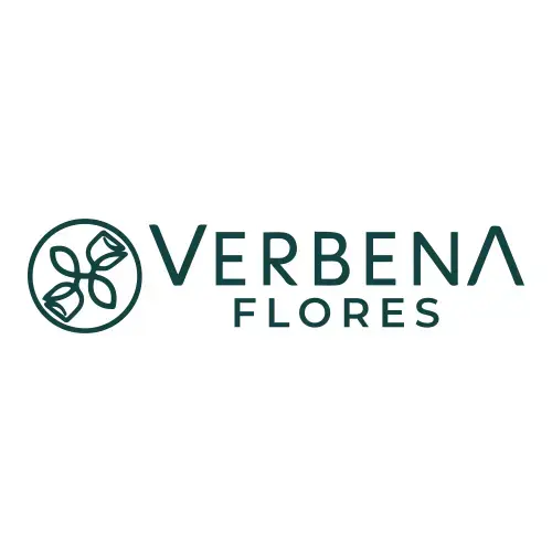 Verbena Flores